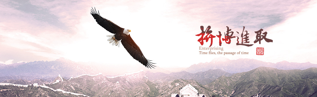 PA视讯集团网站