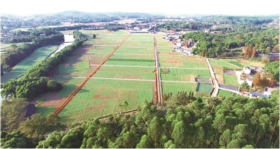 汝州2017年涉农资金管理改革实试点纸坊镇土地整理项目